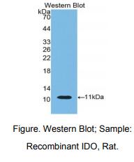 https://msimg.bioon.com/bionline/goods-no-pic.png