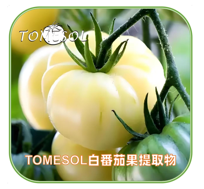 TOMESOL白番茄提取物（妆食同源 有报送码）