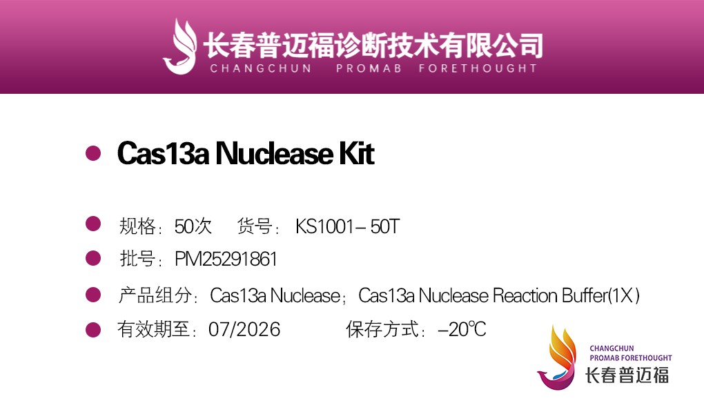 Cas13a核酸酶