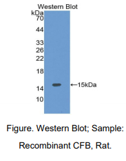 https://msimg.bioon.com/bionline/goods-no-pic.png