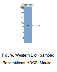 https://msimg.bioon.com/bionline/goods-no-pic.png