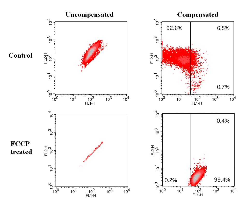 https://img.medsci.cn/e73eefcea40976357f460123cbf1e819c54e5106c9b457225be13b1cbc991aff.png