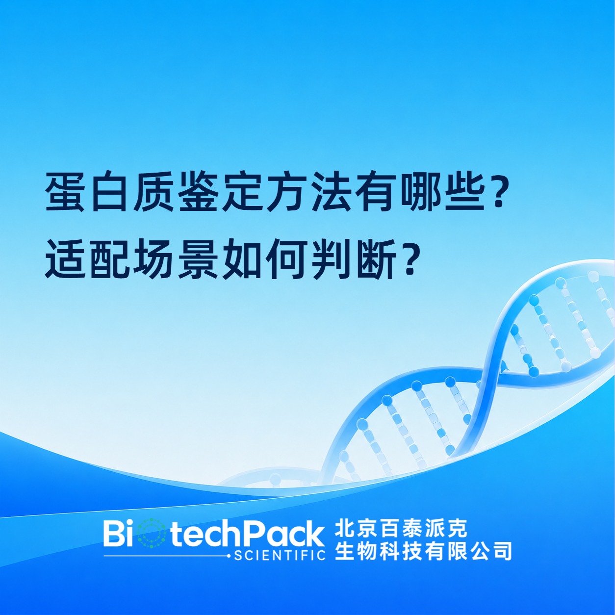 蛋白质鉴定方法有哪些？适配场景如何判断？