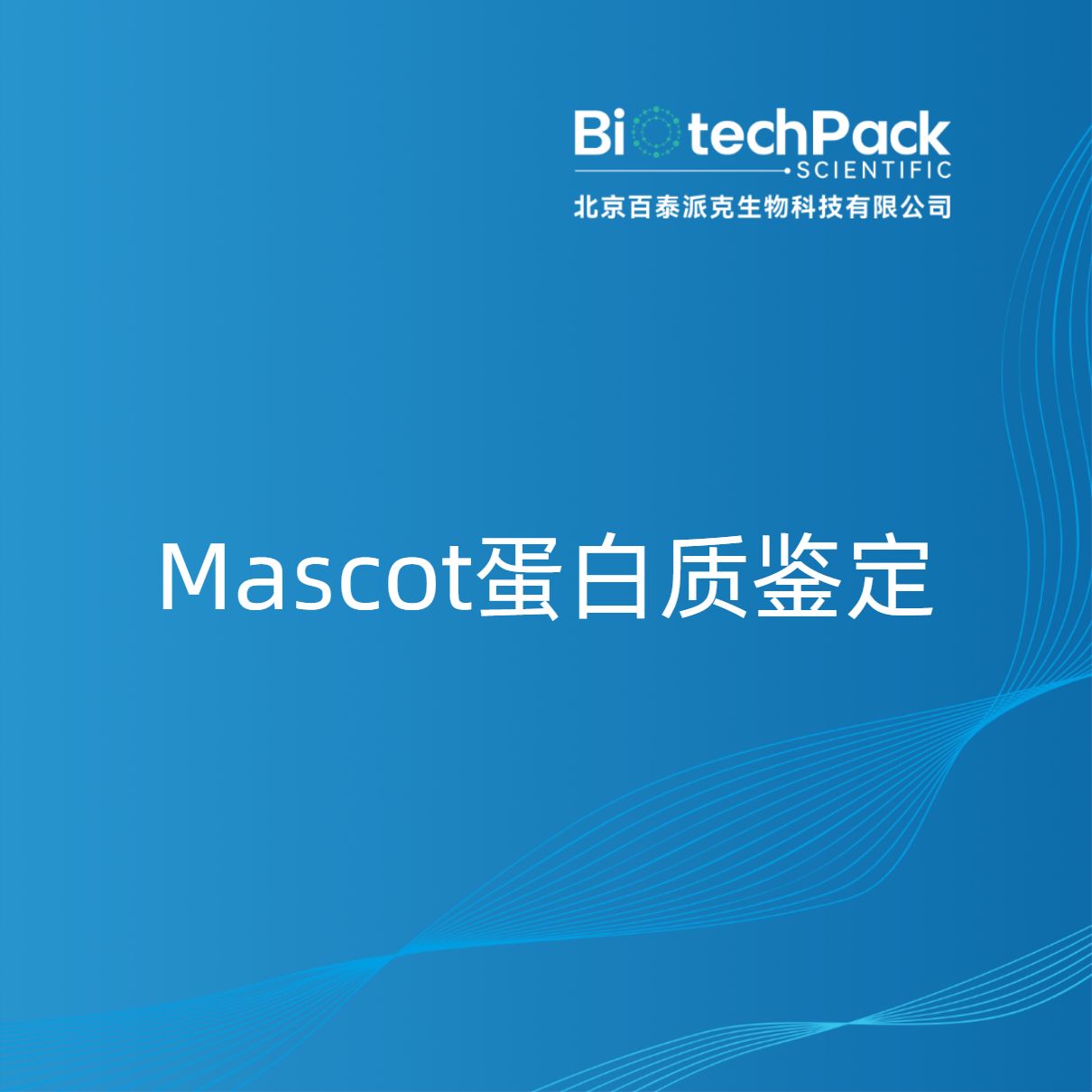Mascot蛋白质鉴定
