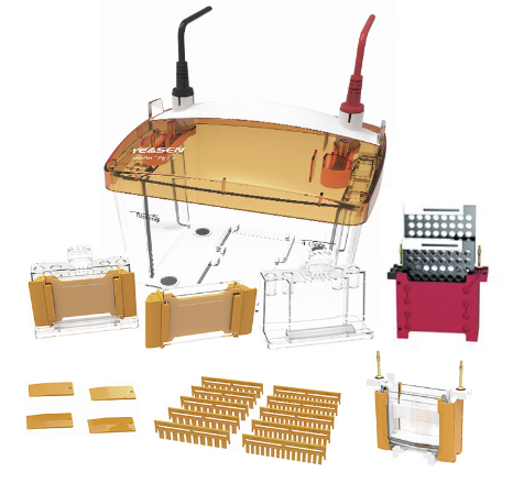 https://img.medsci.cn/109d25ca0c56c640b907b6781c3eaef043efa7c0280f99af323d95dd4992572f.png