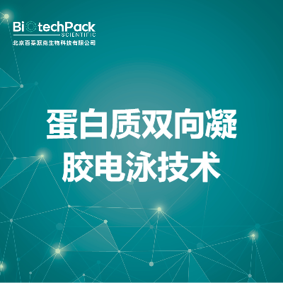 蛋白质双向凝胶电泳技术