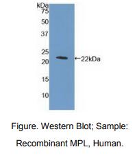 https://msimg.bioon.com/bionline/goods-no-pic.png