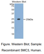 https://msimg.bioon.com/bionline/goods-no-pic.png