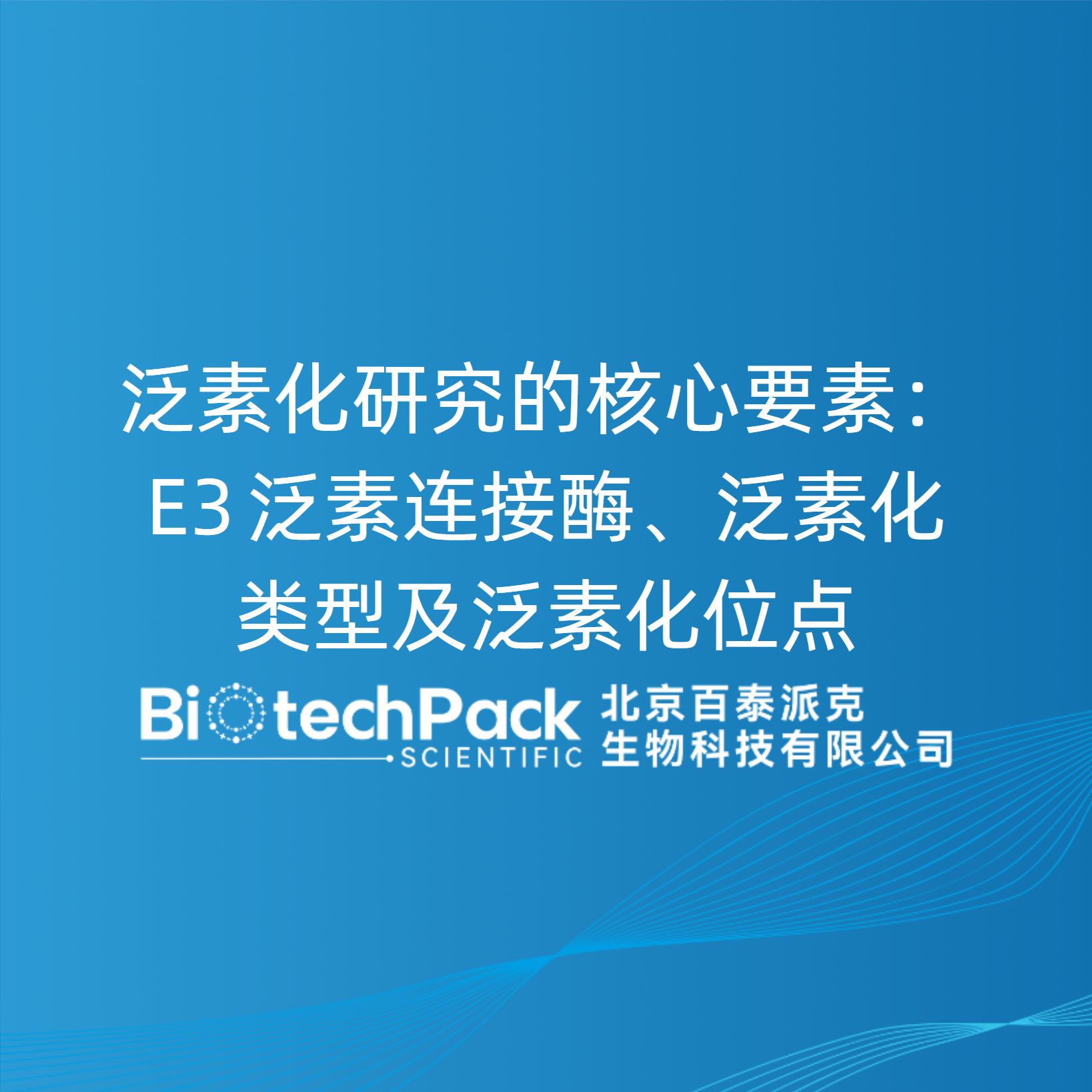 泛素化研究的核心要素：E3 泛素连接酶、泛素化类型及泛素化位点	