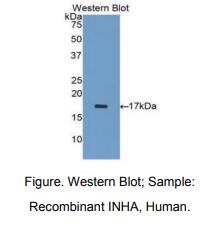 https://msimg.bioon.com/bionline/goods-no-pic.png