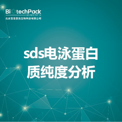 sds电泳蛋白质纯度分析