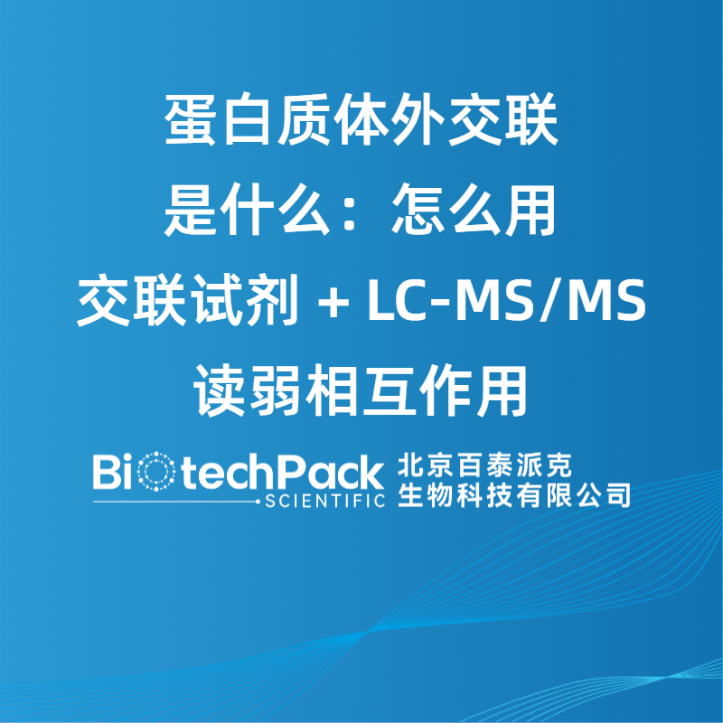 蛋白质体外交联是什么：怎么用交联试剂 + LC‑MS/MS 读弱相互作用