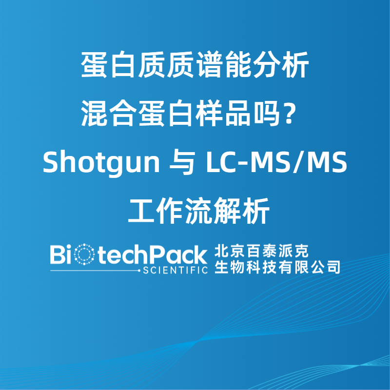 蛋白质质谱能分析混合蛋白样品吗？Shotgun 与 LC-MS/MS 工作流解析