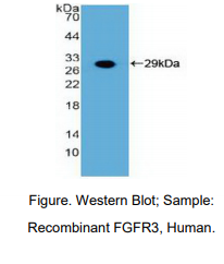 https://msimg.bioon.com/bionline/goods-no-pic.png