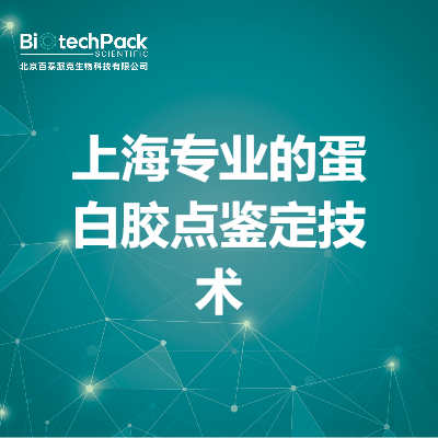 上海专业的蛋白胶点鉴定技术