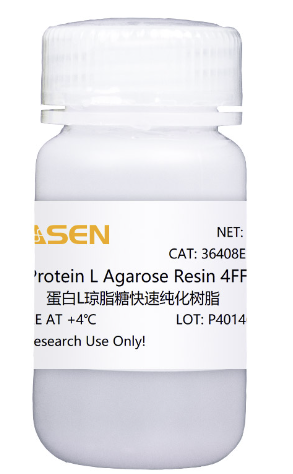 rProtein L Agarose Resin 4FF 蛋白L琼脂糖快速纯化树脂