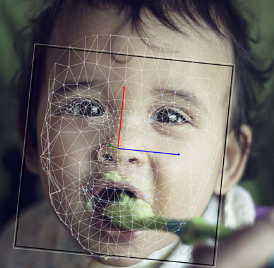 婴幼儿面部表情分析系统