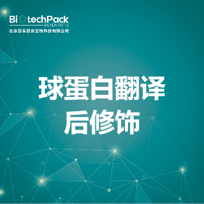 球蛋白翻译后修饰