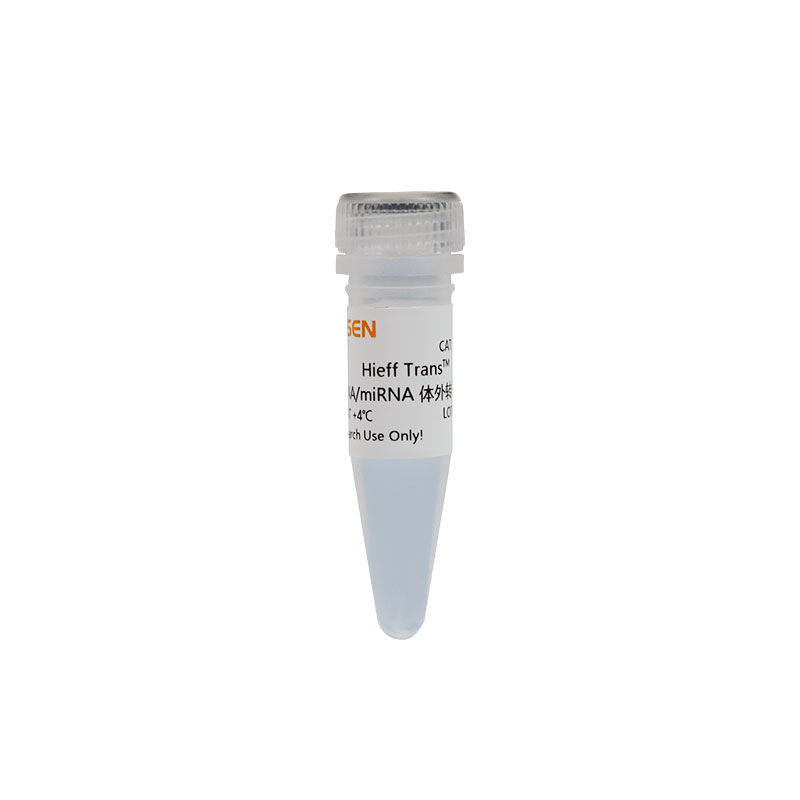 Hieff Trans® in vitro siRNA/miRNA Transfection Reagent siRNA/miRNA转染试剂