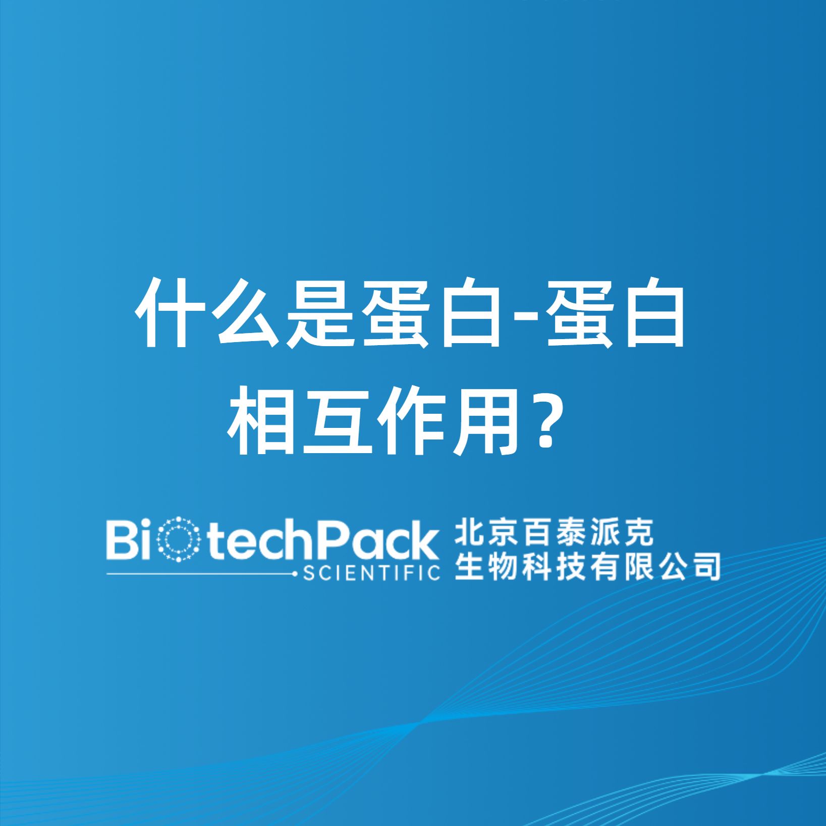 什么是蛋白-蛋白相互作用？