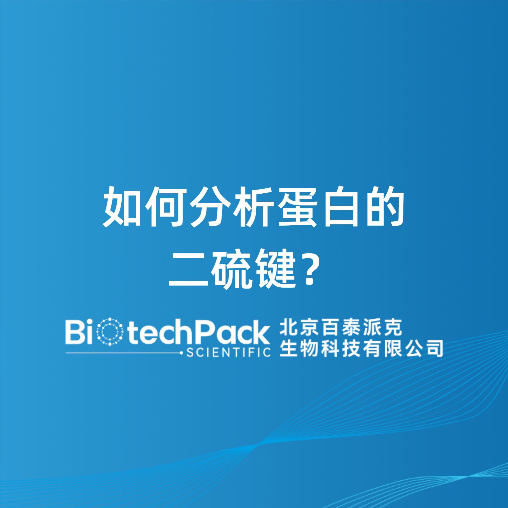 如何分析蛋白的二硫键？