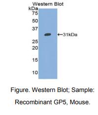 https://msimg.bioon.com/bionline/goods-no-pic.png