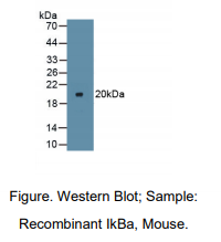 https://msimg.bioon.com/bionline/goods-no-pic.png