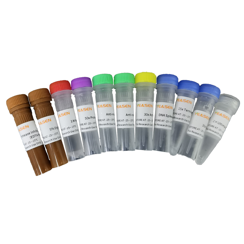 Hieff NGS&#174; Multi-CUT&Tag Library Prep Kit for Illumina&#174;