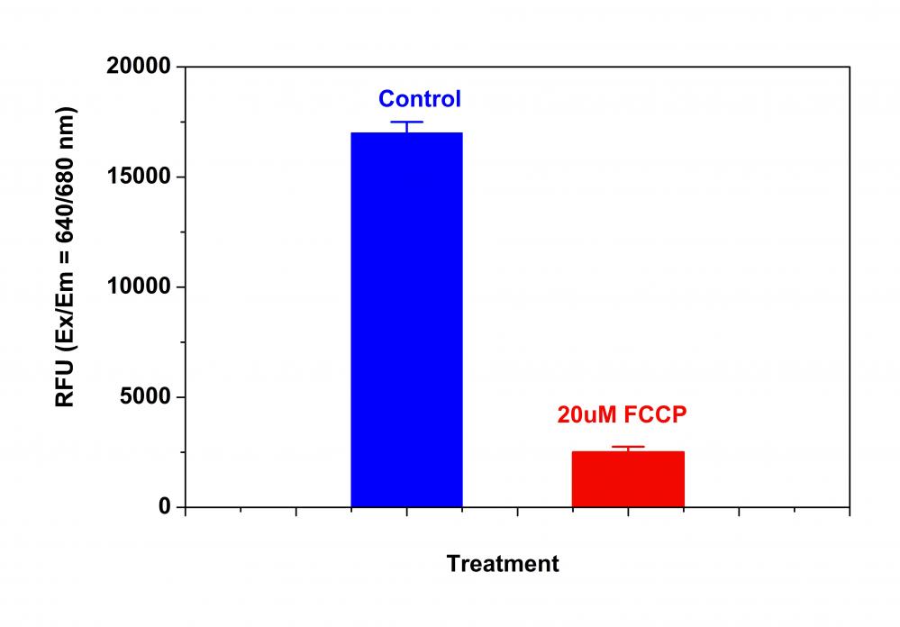 https://img.medsci.cn/e73eefcea40976357f460123cbf1e819c54e5106c9b457225be13b1cbc991aff.png