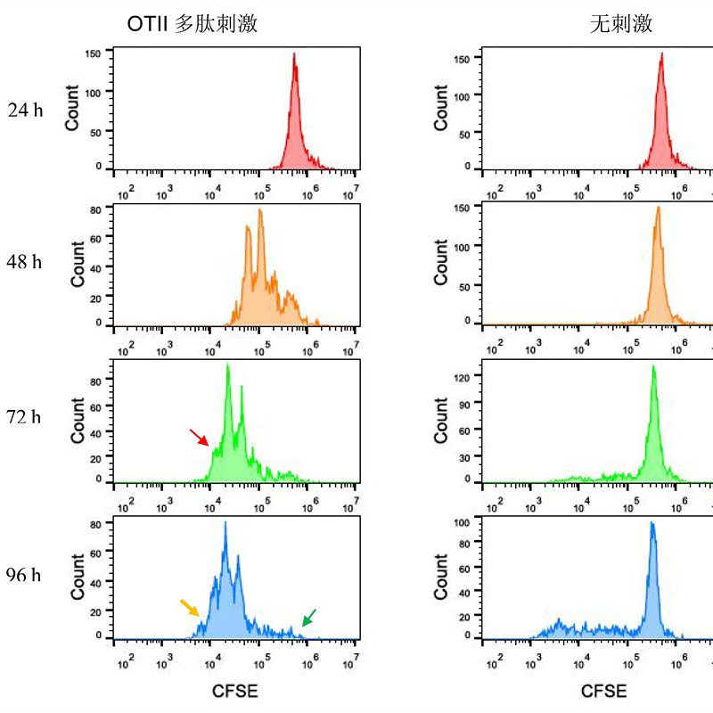 CFSE检测增殖-流式检测