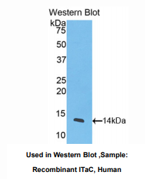 https://msimg.bioon.com/bionline/goods-no-pic.png