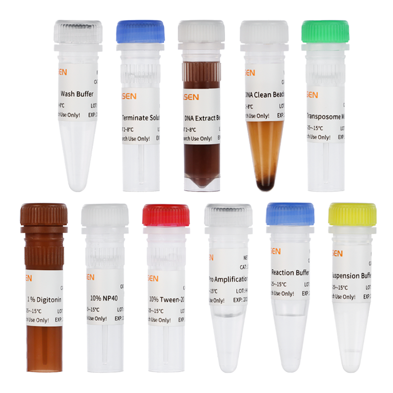 Hieff NGS® ATAC-Seq Library Prep Kit for Illumina® ATAC建库试剂盒