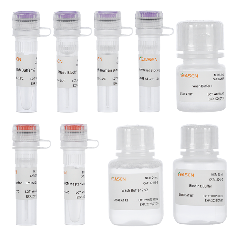 平台捕获杂交清洗试剂盒