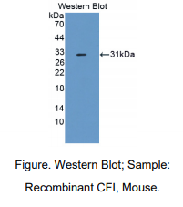 https://msimg.bioon.com/bionline/goods-no-pic.png