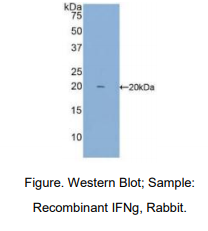 https://msimg.bioon.com/bionline/goods-no-pic.png