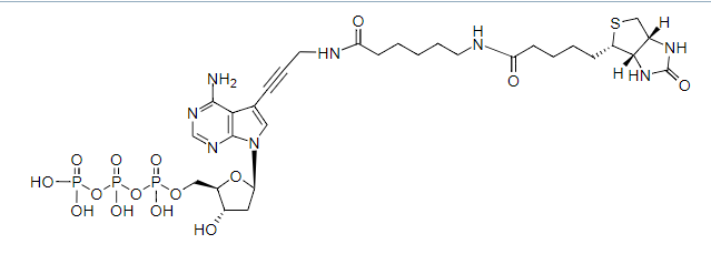 生物素-16-UTP*10 mM*