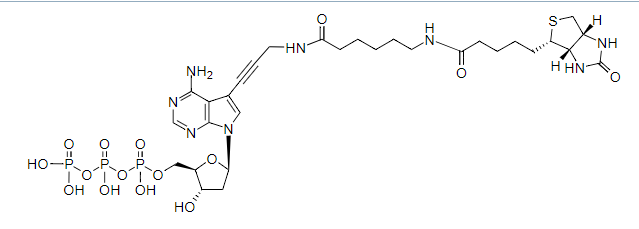 生物素-X氨三乙酸 CAS 856661-92-2