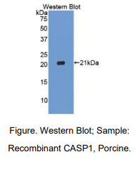 https://msimg.bioon.com/bionline/goods-no-pic.png