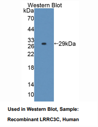 https://msimg.bioon.com/bionline/goods-no-pic.png