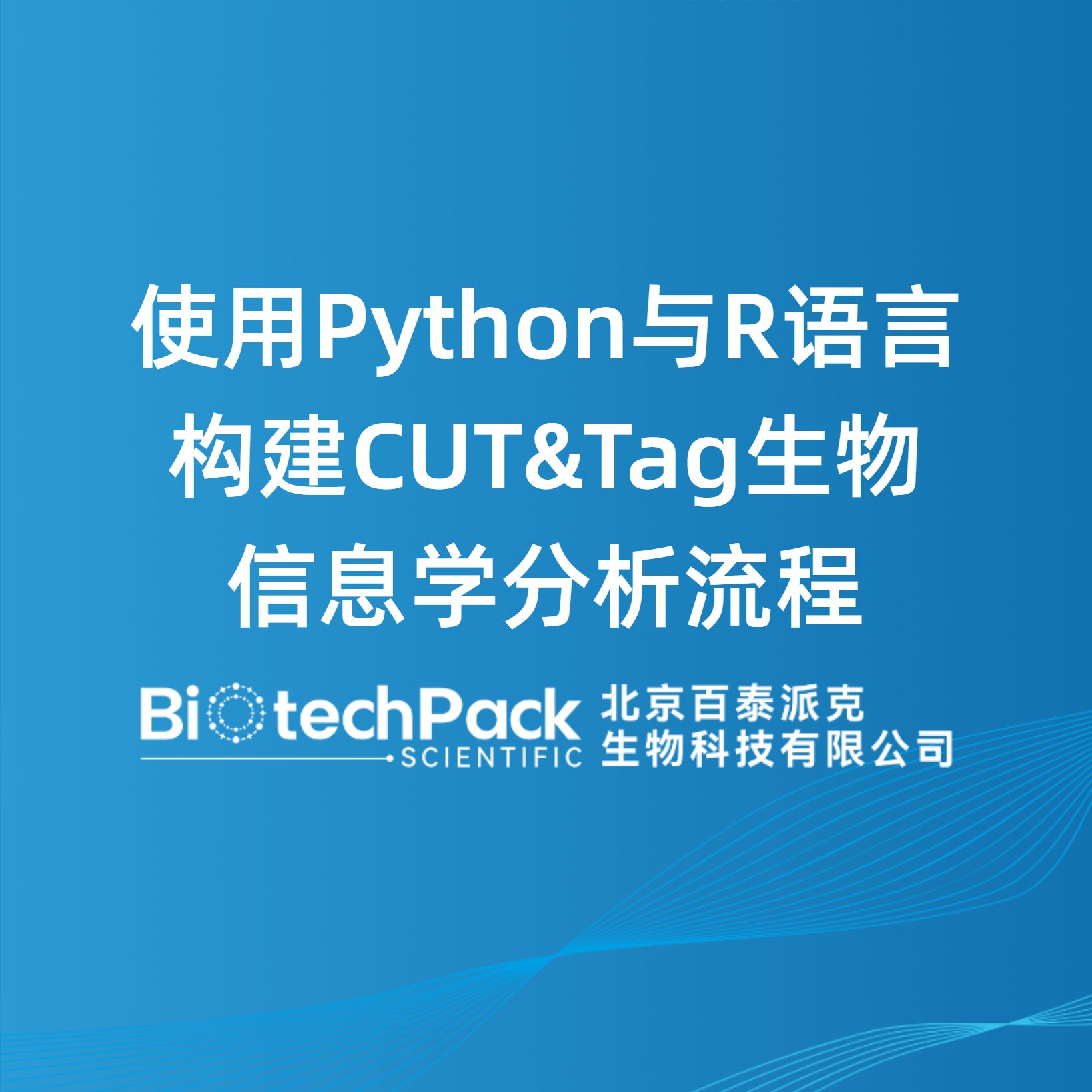 使用Python与R语言构建CUT&Tag生物信息学分析流程