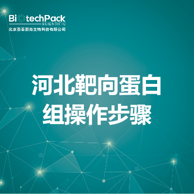 河北靶向蛋白组操作步骤