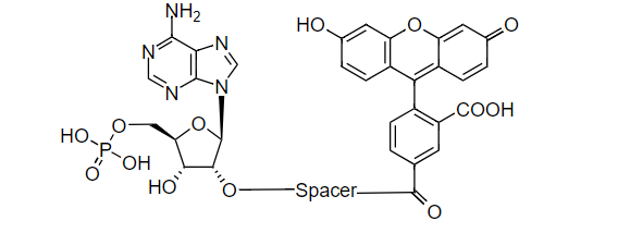 https://msimg.bioon.com/bionline/goods-no-pic.png