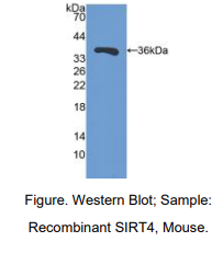 https://msimg.bioon.com/bionline/goods-no-pic.png