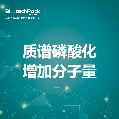 质谱磷酸化增加分子量