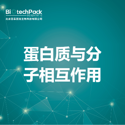 蛋白质与分子相互作用
