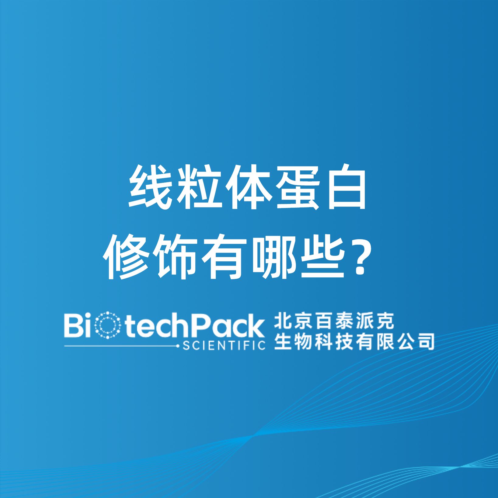 線粒體蛋白修飾有哪些？