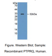 https://msimg.bioon.com/bionline/goods-no-pic.png