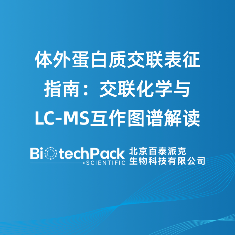 體外蛋白質交聯表征指南：交聯化學與LC?MS互作圖譜解讀