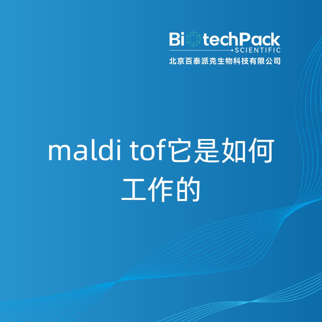 maldi tof它是如何工作的