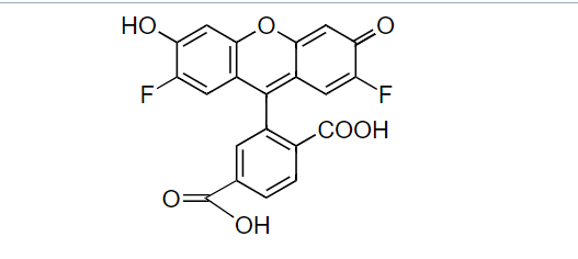 https://msimg.bioon.com/bionline/goods-no-pic.png